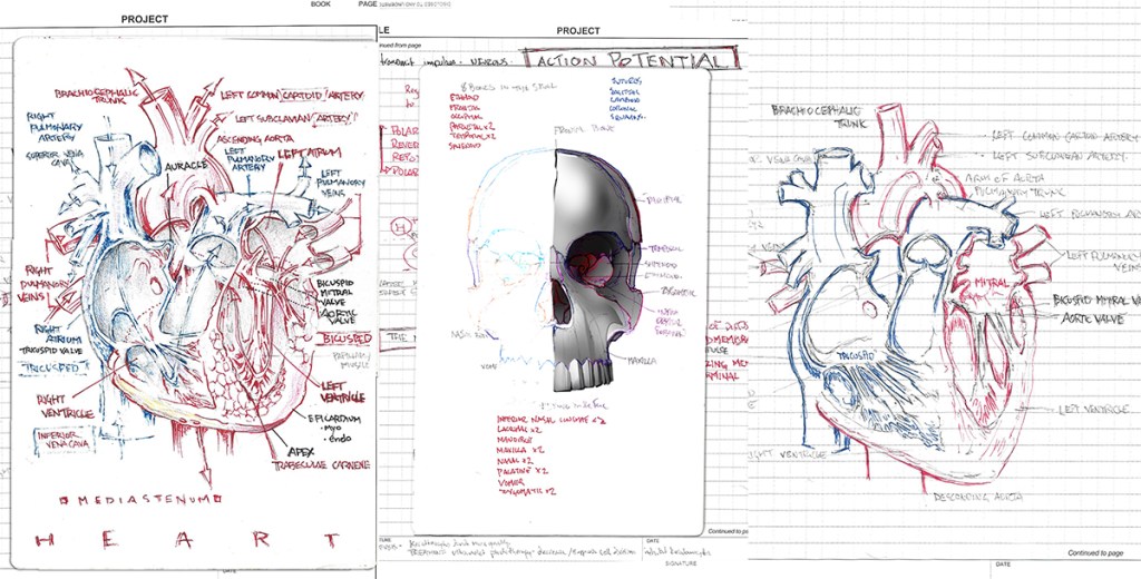 This image has an empty alt attribute; its file name is hearthrob-2.jpg